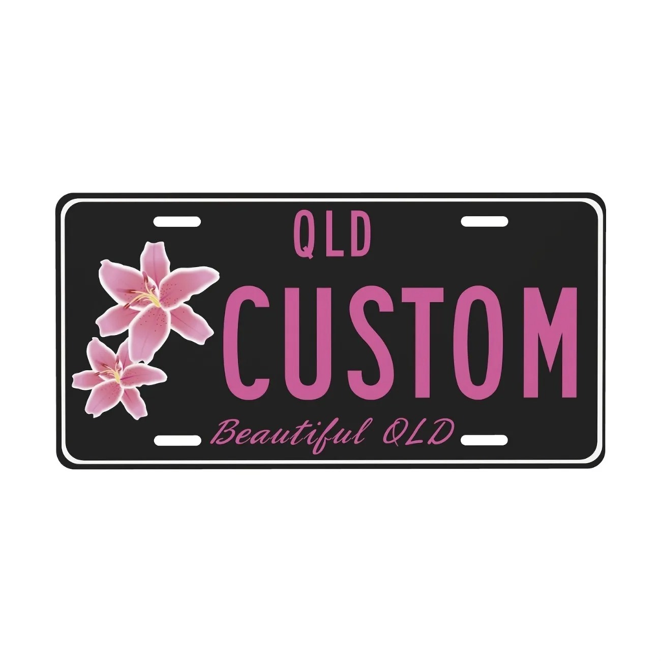 Custom Text Aluminum License P - Home Decor Theme 评论和价格