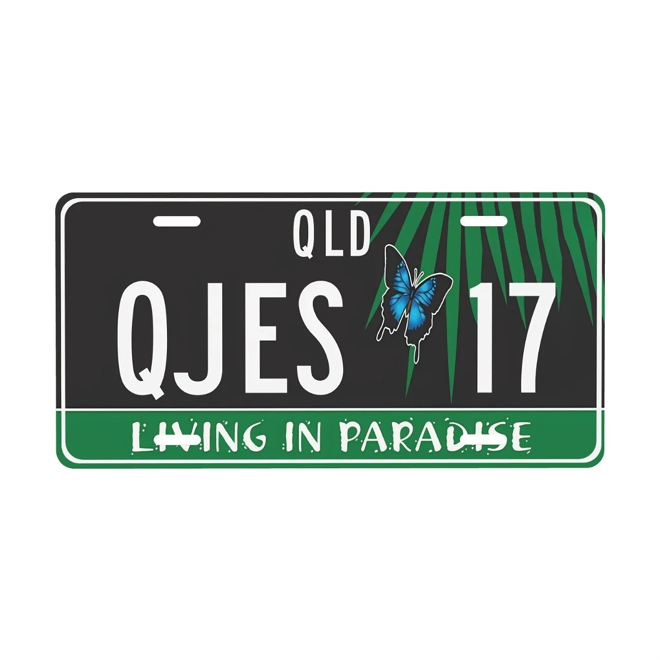 Custom Text Aluminum License P - Home Decor Theme 评论和价格