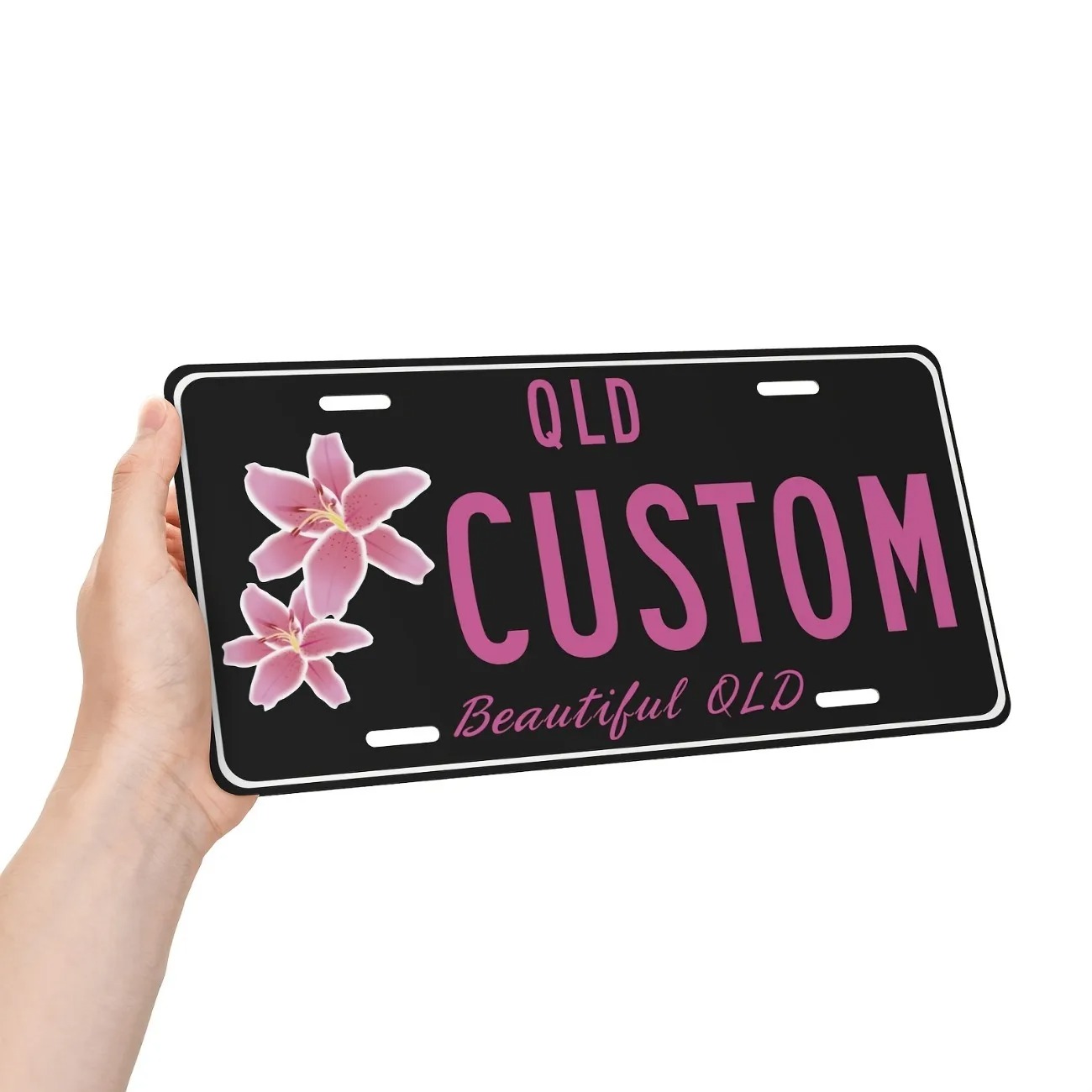 Custom Text Aluminum License P - Home Decor Theme 评论和价格